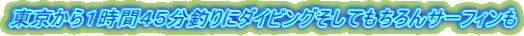 ��������P���ԂS�T���ނ�Ƀ_�C�r���O�����Ă������T�[�t�B����